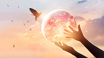 �������ǲ���(�й���)�ٷ���վ